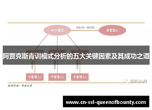 阿贾克斯青训模式分析的五大关键因素及其成功之道 阿贾克斯青训模式分析的五大关键因素及其成功之道